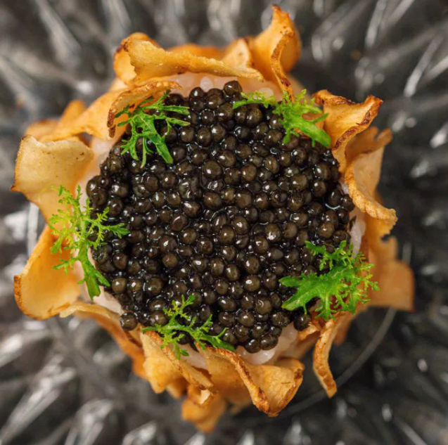 caviar-course