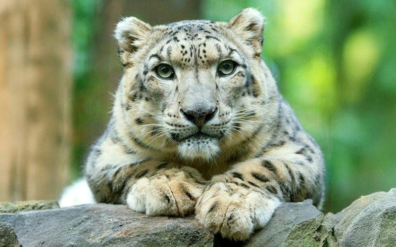 central-park-zoo-tickets-new-york-city-01.jpg