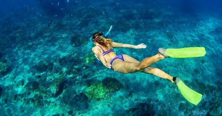 Sea Turtle Snorkel Adventure