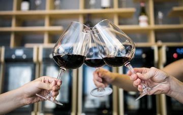 cheers-with-wine