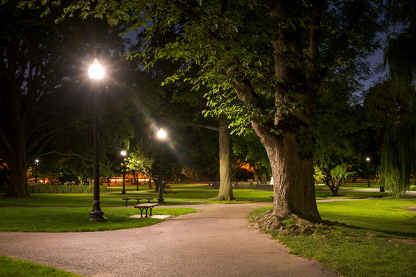cheesman-park-trail-jpg