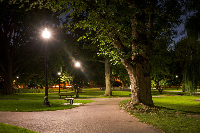 cheesman-park-trail-jpg