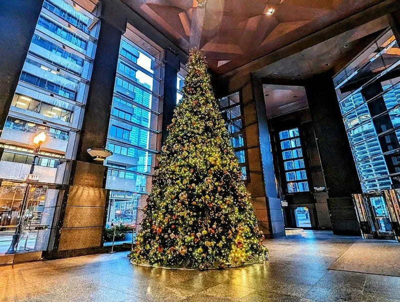 chicago-christmas-tree-crawl-holiday-tour.webp
