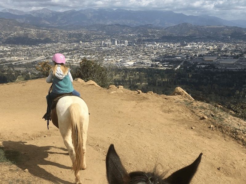 child-on-horses