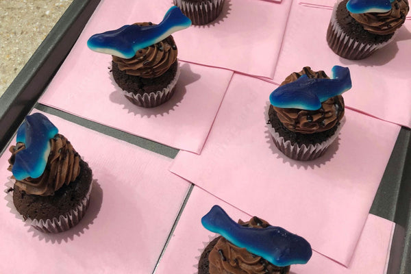 chocolate-cupcakes-with-gummies-jpeg