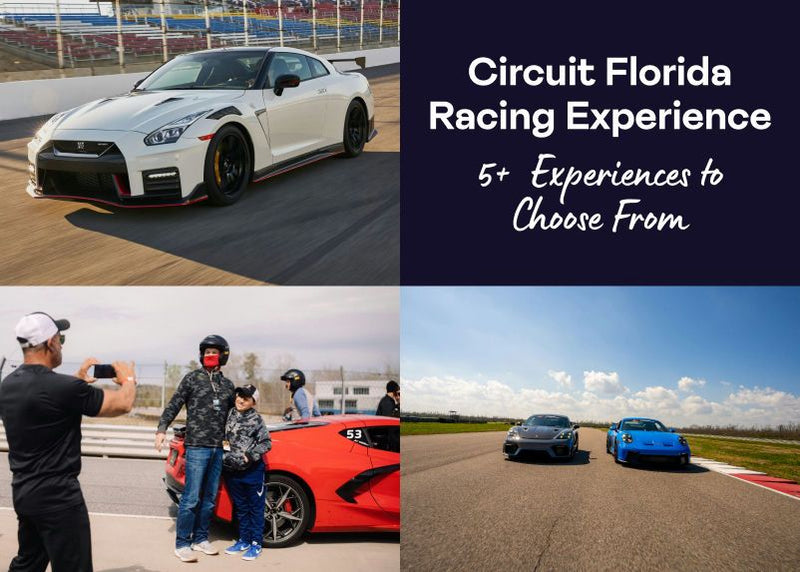 circuit fl.jpg