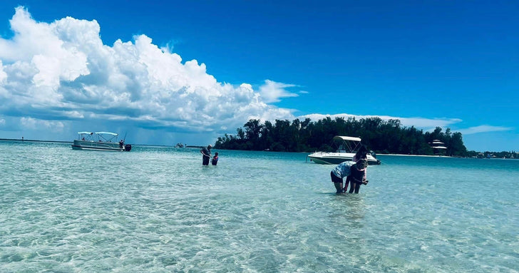 Three Hour Snorkel, Sandbar & Dolphin Tour