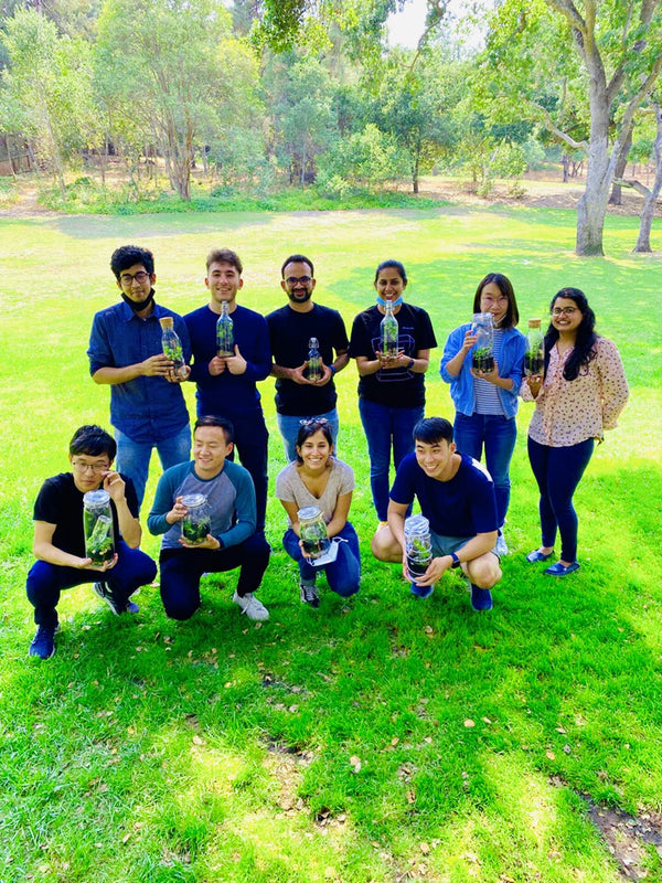 closed-terrarium-workshop-group-photo