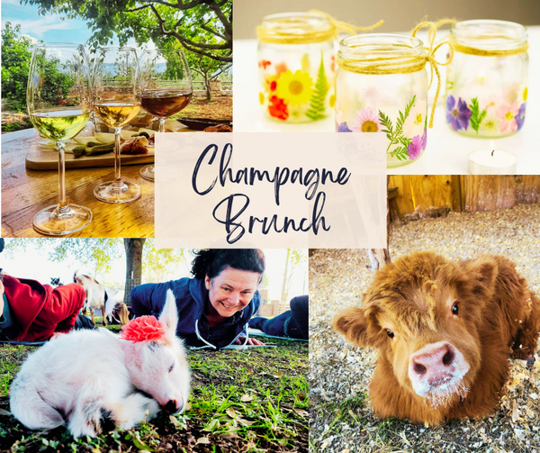 collage champagne brunch.png