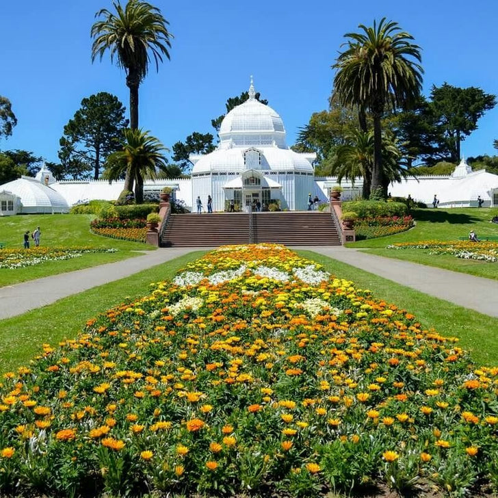 Private Walking Tour of Golden Gate Park