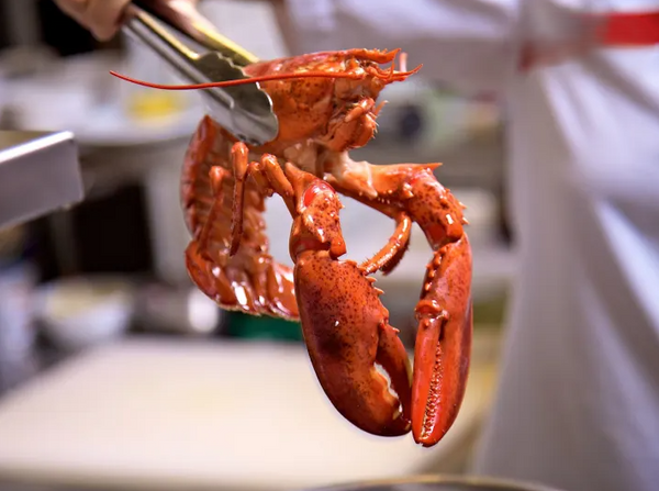 Cooked Lobster.png
