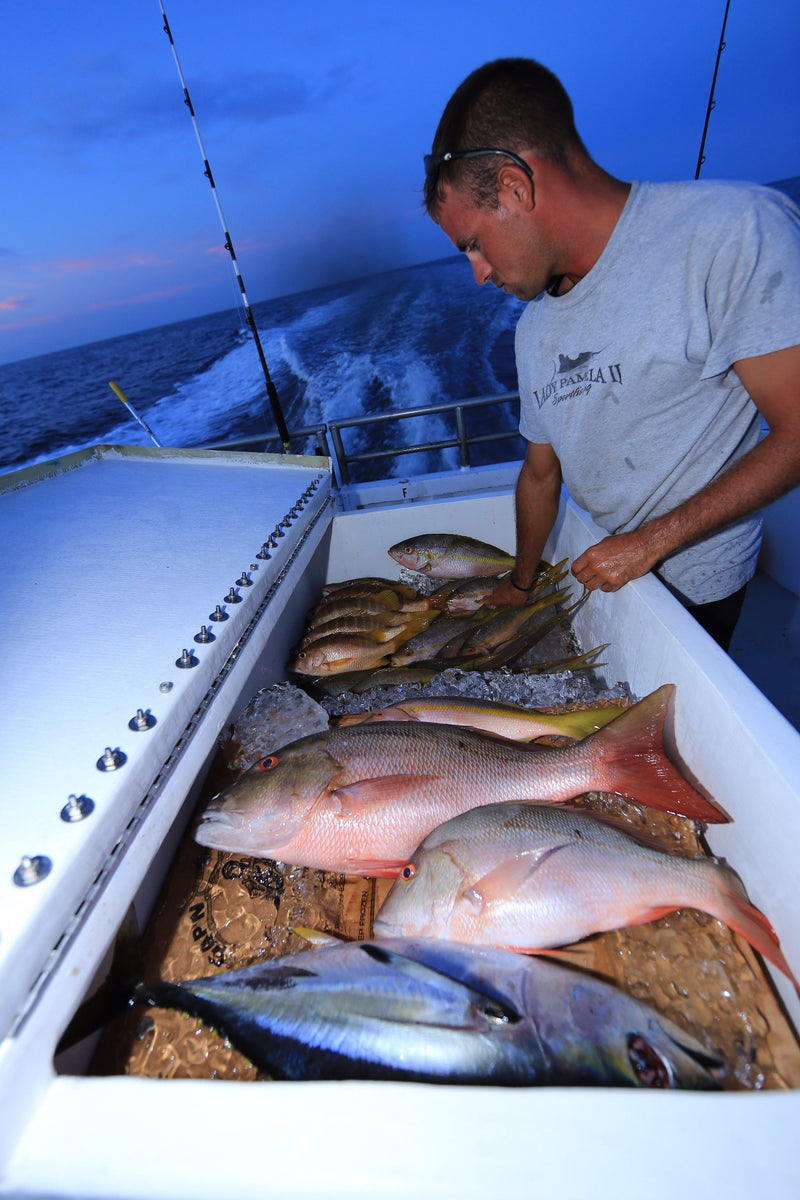 cooler-of-fish