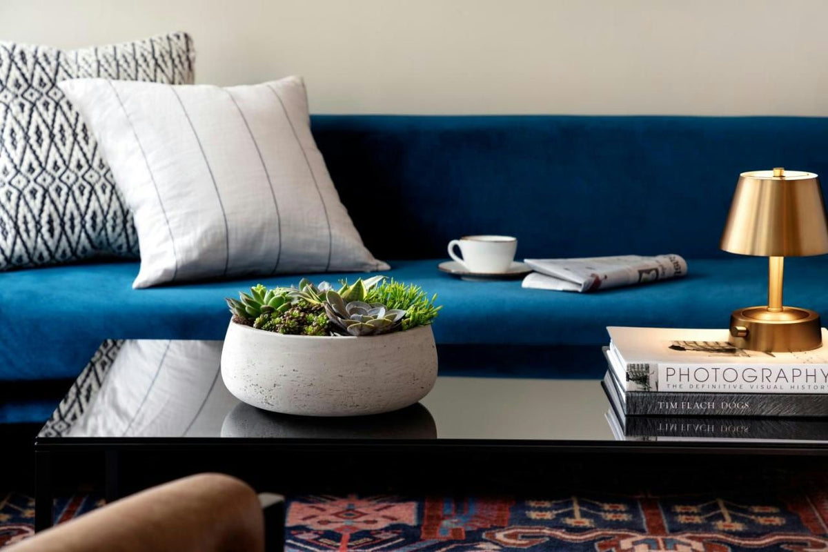 couch-in-room