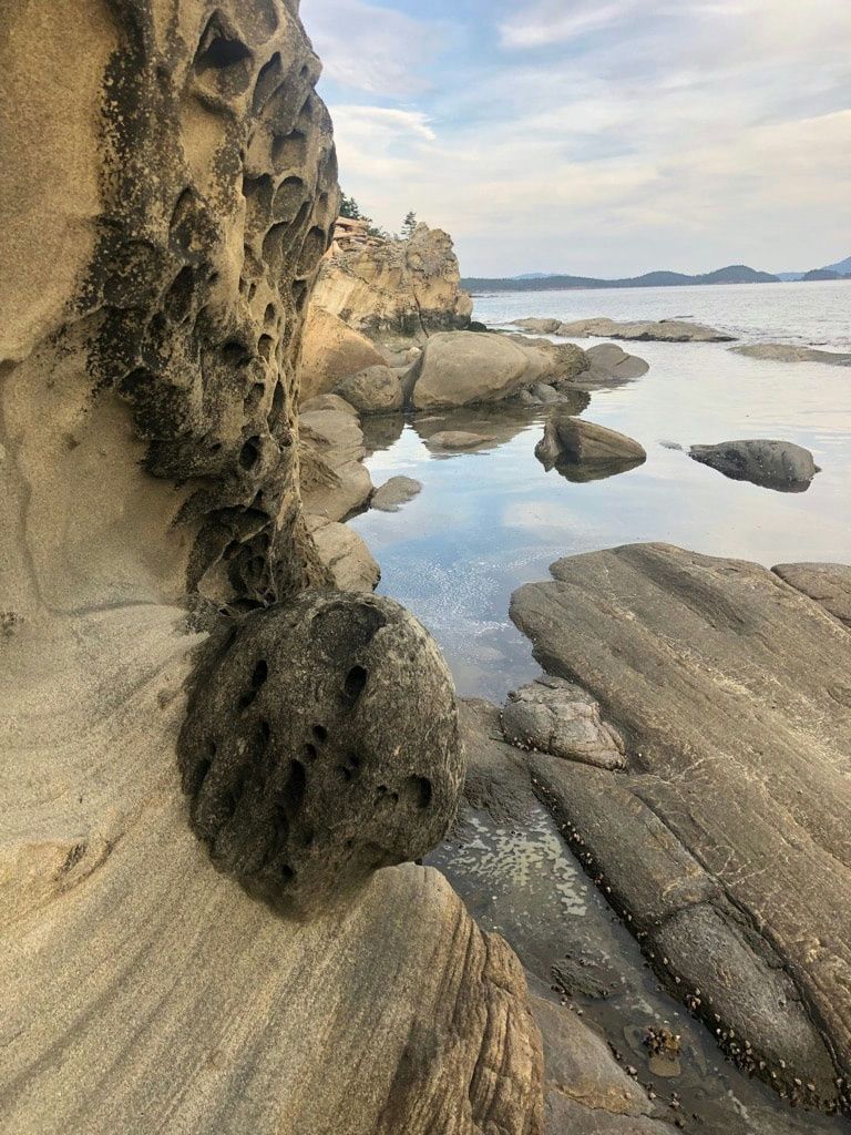 cove-jpeg