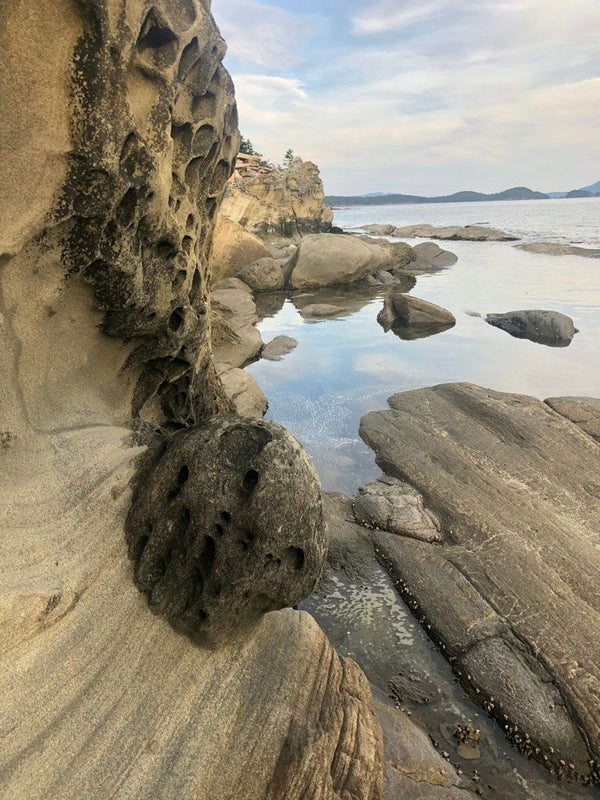 cove-jpeg