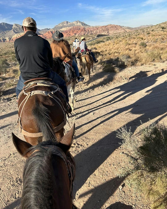 line of horseback riders at sunset