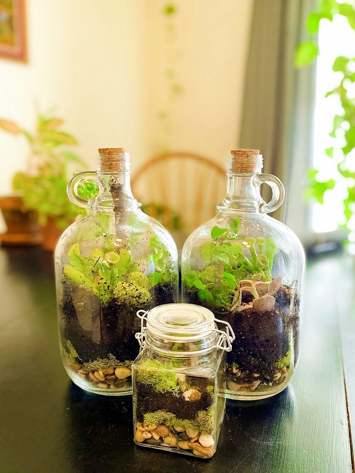 craft-for-team-closed-terrarium-workshop-10-jpg