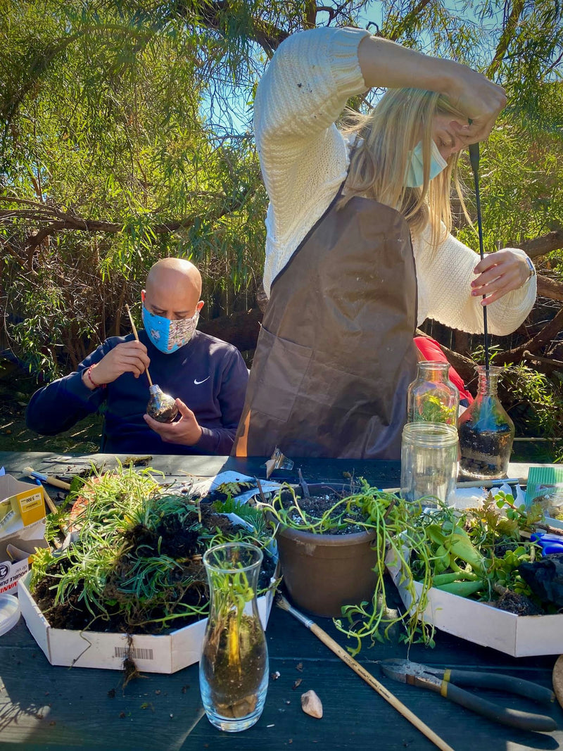 crafting-a-closed-terrarium