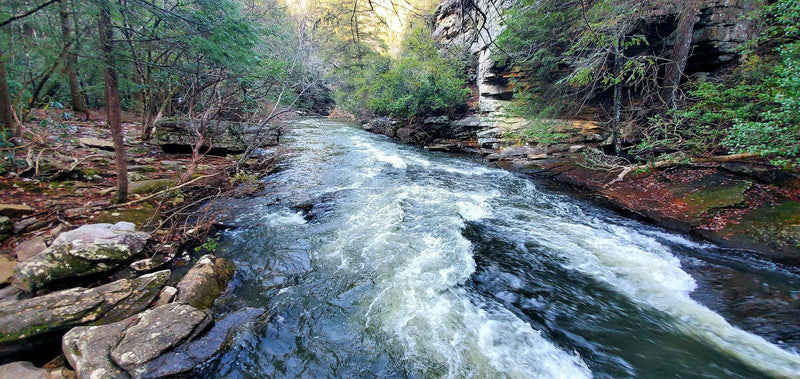 creek-jpeg
