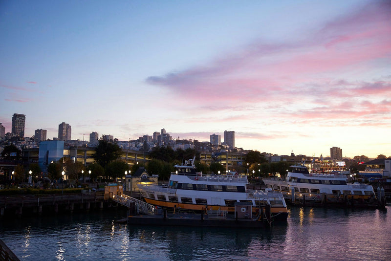 Cruise at sunset