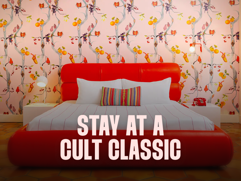 Cult Classic main.png