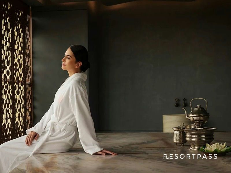custom-facial-leaf-spa-fairmont-chicago-robe-relaxation-ritual-logo.jpg