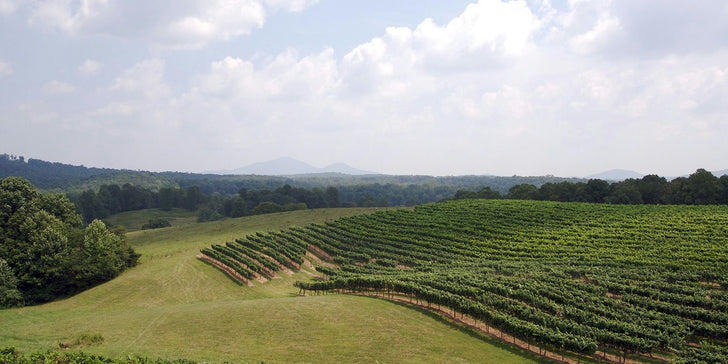 1-Night Dahlonega Mystery Weekend