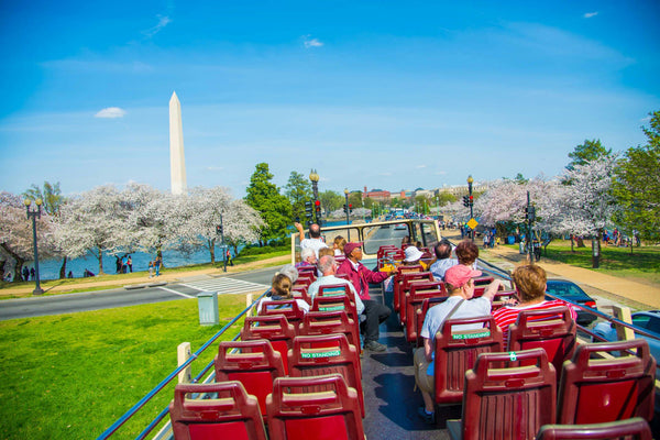 daytime big bus tour dc.jpg