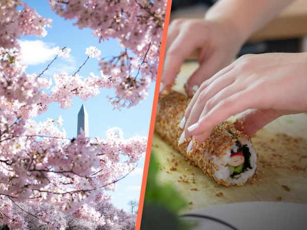 dc hotel + sushi.png