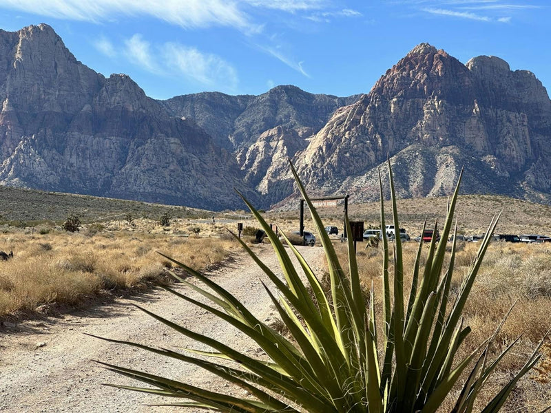 desert-mountain