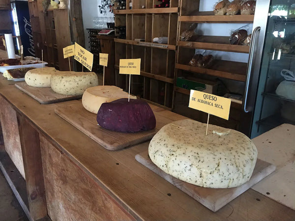 different-cheeses-webp