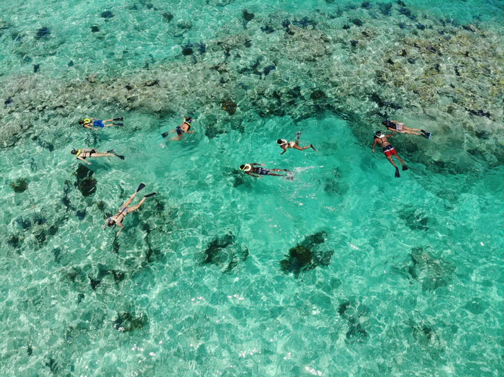 Morning Dolphin Watch  & Snorkel on a Catamaran