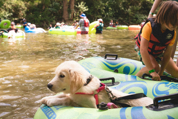 dog-on-tube