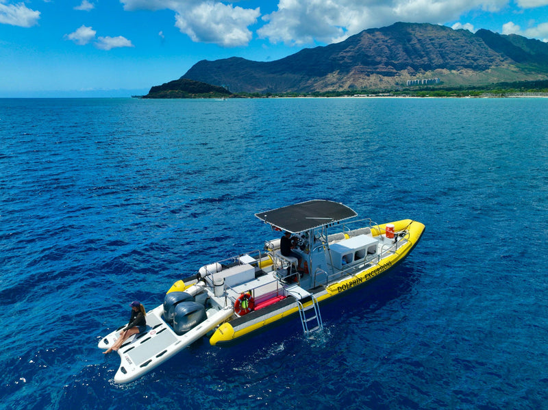 dolphin-excursion-boat-with-mountain-view-jpeg