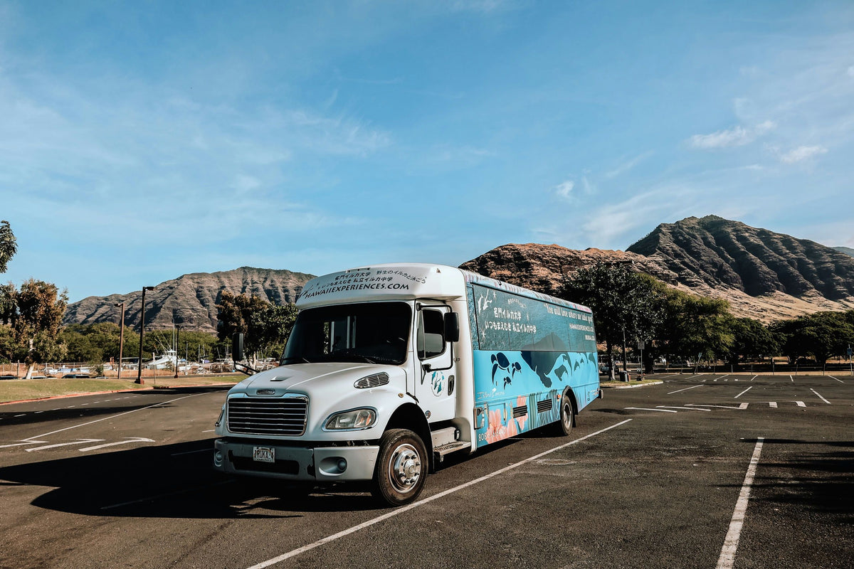 dolphin-swim-reef-snorkel-with-ocean-activities-bus-jpeg