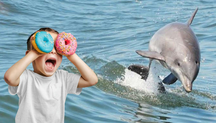 Donuts & Dolphins Cruise in Hilton Head