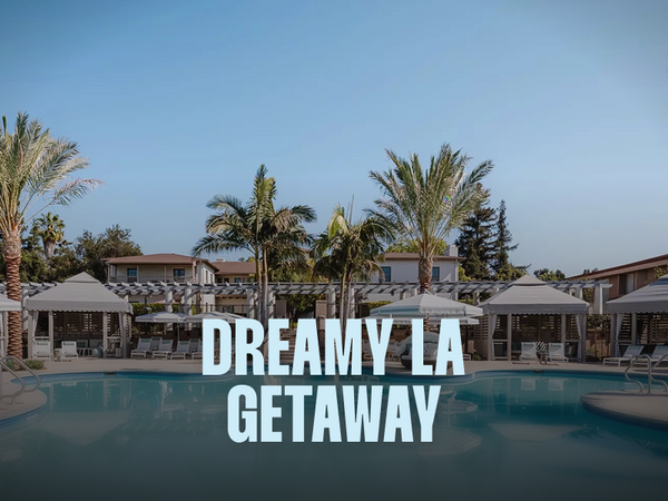 dreamy LA 1 night.png