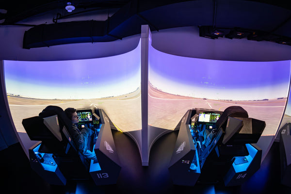 dual flight simulation