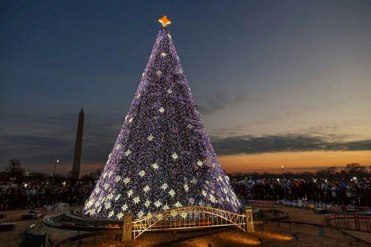 Washington DC Festive Holiday Lights and Christmas Trees Tour