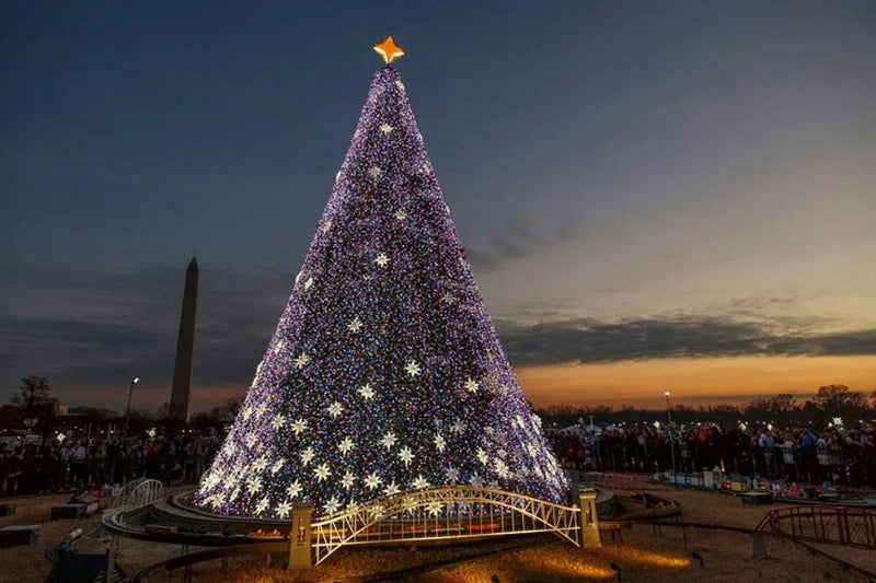 evening-at-the-national-christmas-tree-on-christmas-day_credit-richard-ricciardi-via-flickr.jpeg