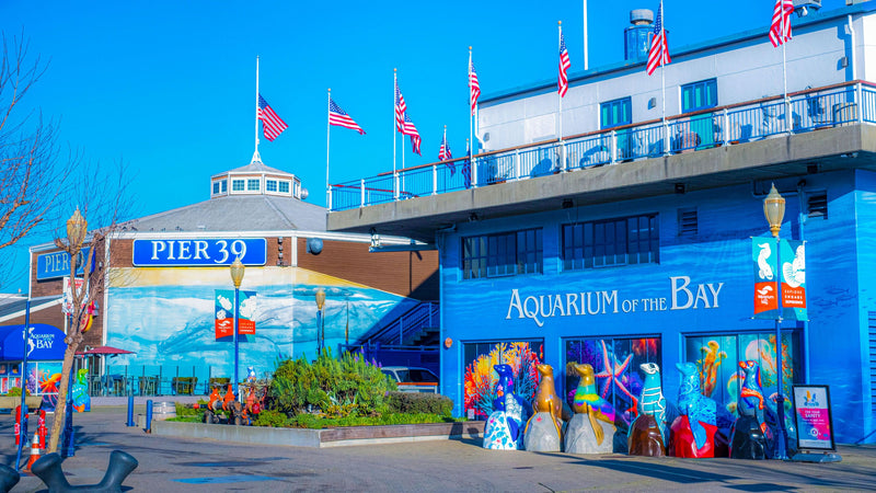 FacebookBanner-Exterior-with-Statues-and-PIER39-4k.jpg