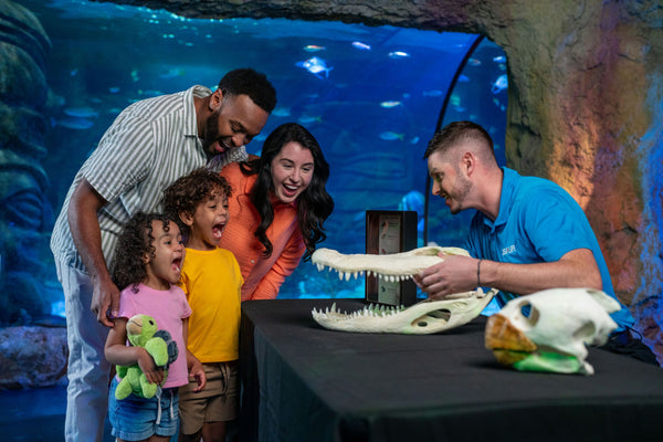 LEGOLAND® Florida Resort and Water Park 1-Day Admission | Winter