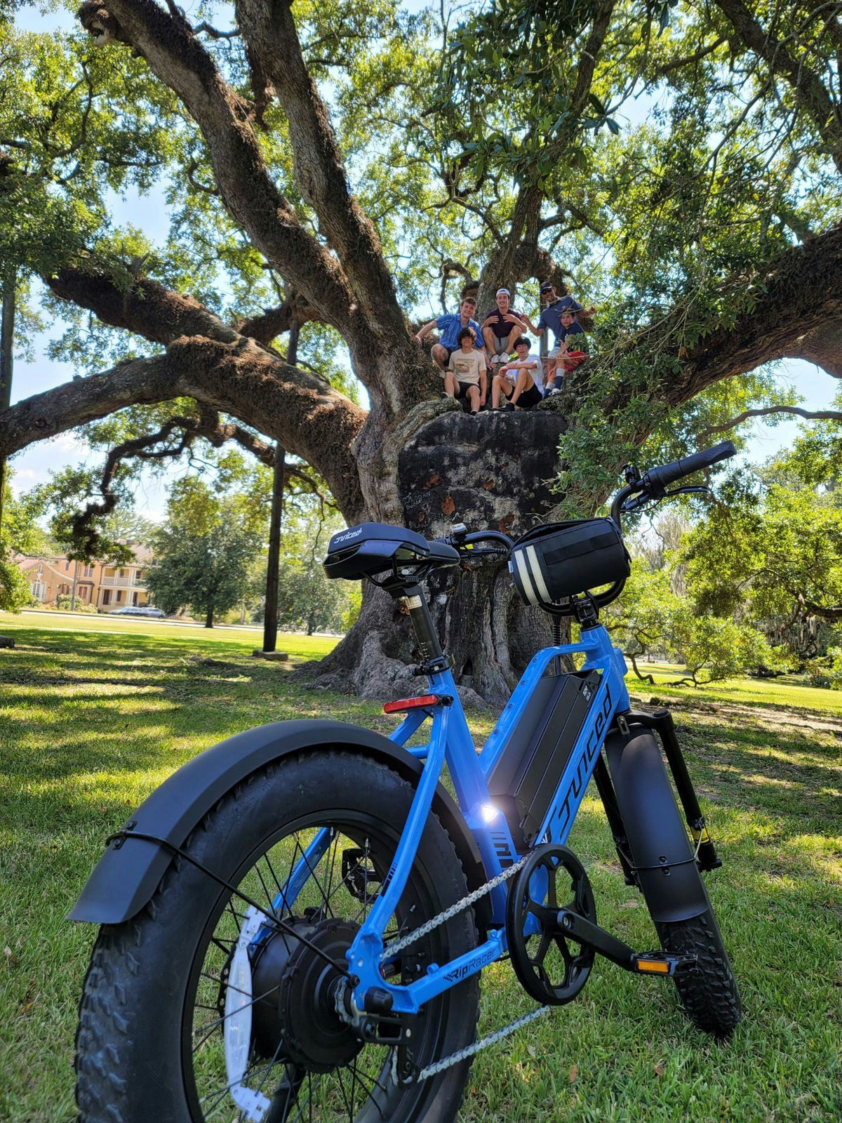 family-in-tree-with-bike-jpeg