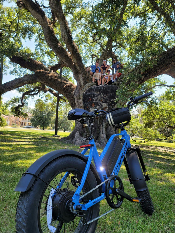 family-in-tree-with-bike-jpeg