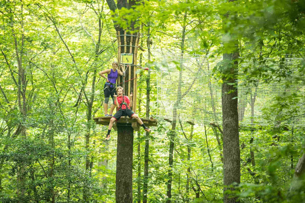 Treetop adventure zipline