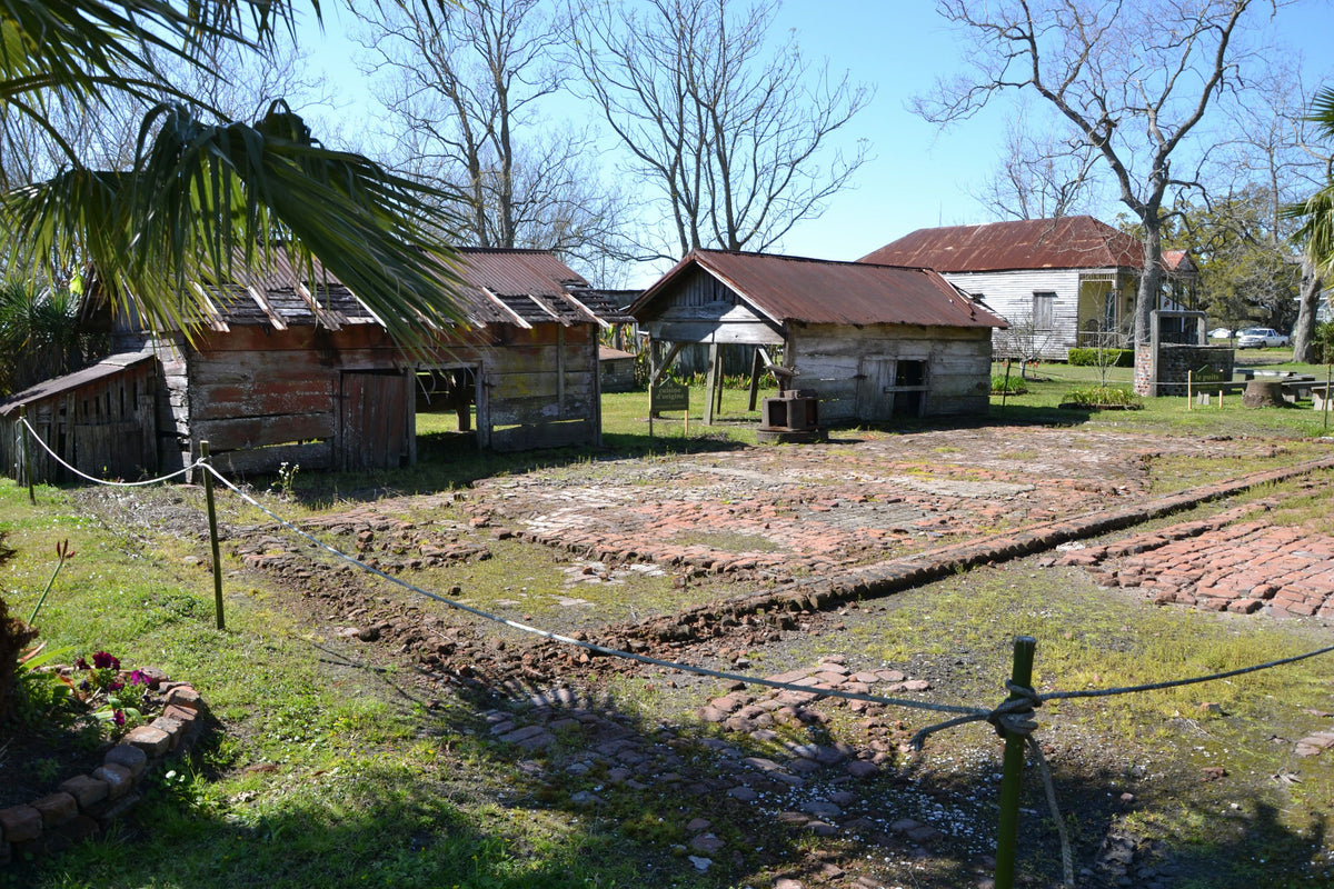farm-land-on-plantation