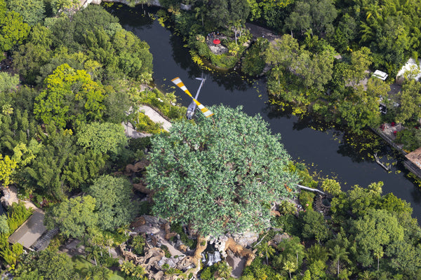 flying-above-disney