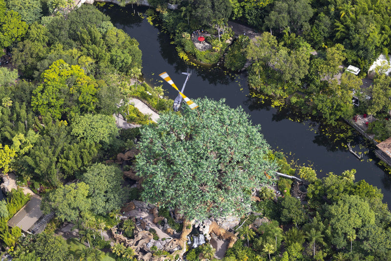 flying-above-disney