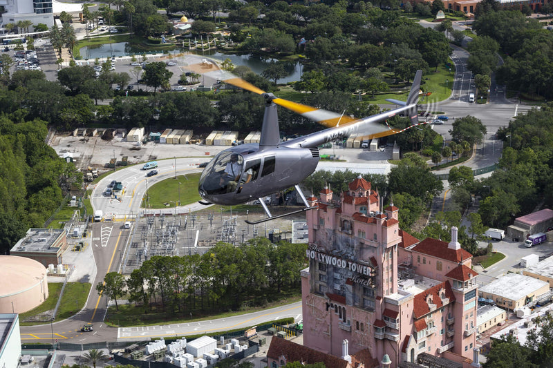 flying over disney