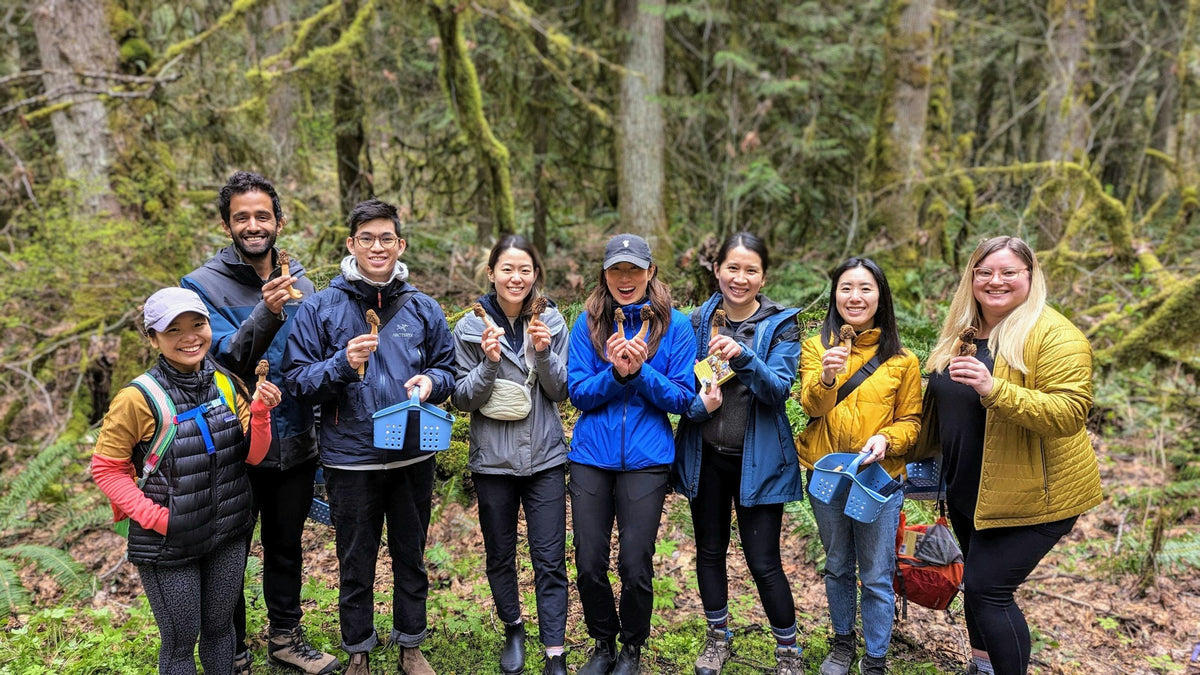 foraging-group